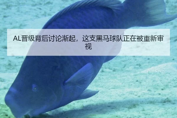 AL晋级背后讨论渐起，这支黑马球队正在被重新审视